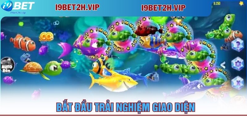 bat-dau-trai-nghiem-giao-dien