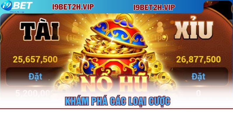 kham-pha-cac-loai-cuoc