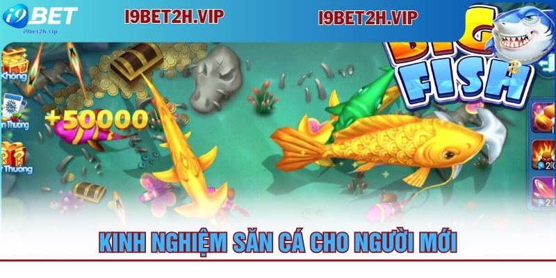 kinh-nghiem-san-ca-cho-nguoi-moi-tham-gia-ban-ca-h5