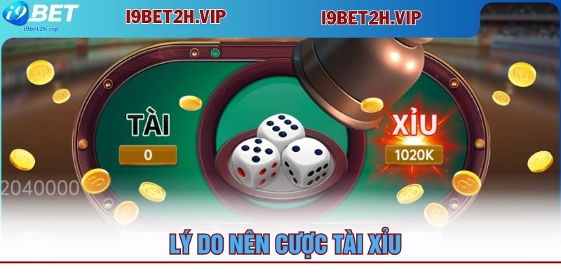 ly-do-nen-cuoc-tai-xiu