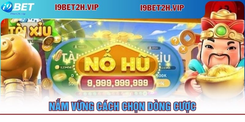 nam-vung-cach-chon-dong-cuoc