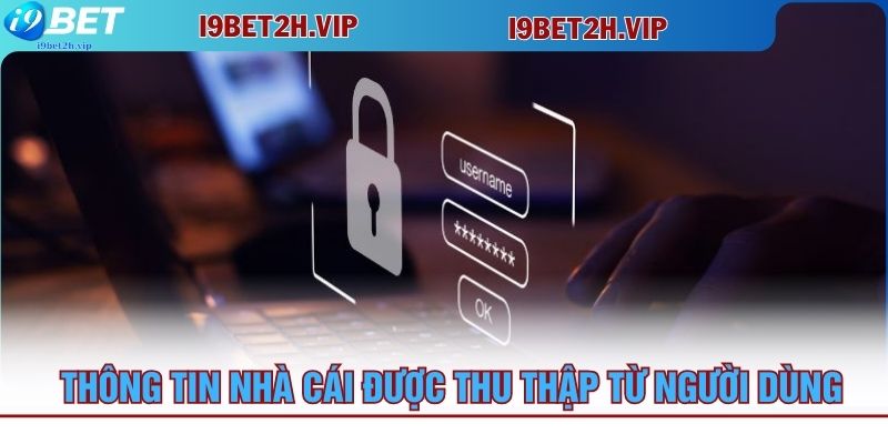 thong-tin-nha-cai-duoc-thu-thap-tu-nguoi-dung