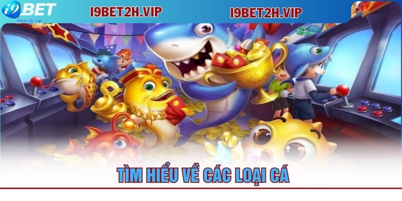 tim-hieu-ve-cac-loai-ca